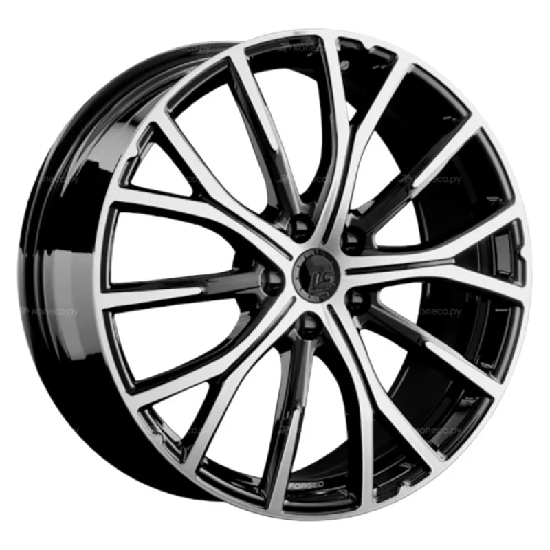 LS FG21