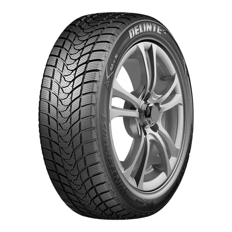 Delinte Winter WD1 175/65 R14 82T